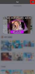 Detected image