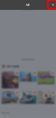 Detected image