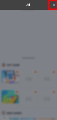 Detected image
