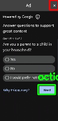 Detected image