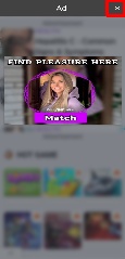 Detected image