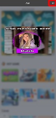 Detected image
