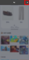 Detected image