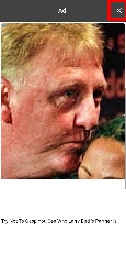Detected image