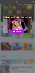 Detected image