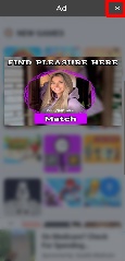 Detected image