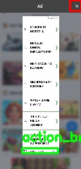 Detected image