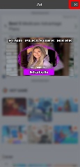 Detected image