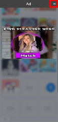 Detected image