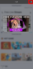 Detected image