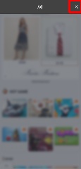 Detected image