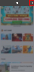 Detected image