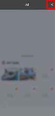 Detected image