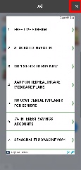 Detected image