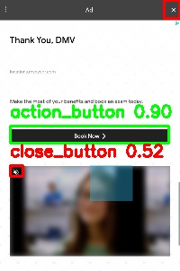 Detected image