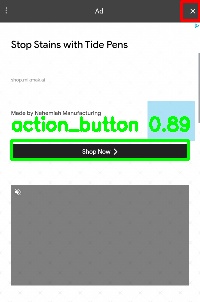 Detected image