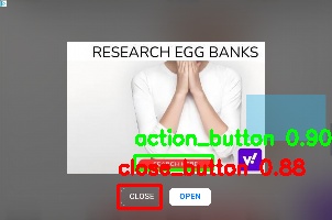 Detected image