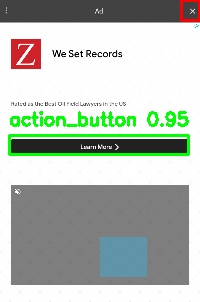 Detected image