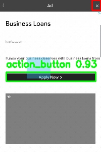 Detected image