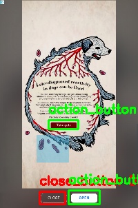 Detected image