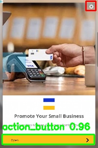 Detected image