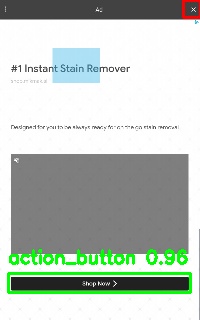 Detected image