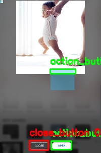 Detected image