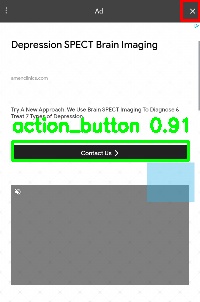 Detected image