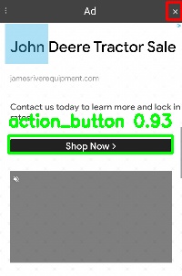 Detected image