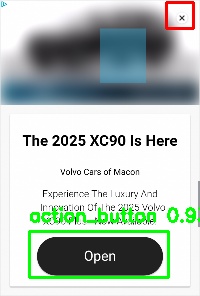 Detected image