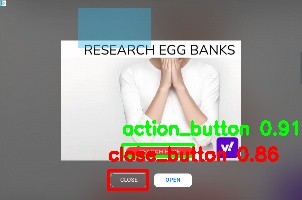 Detected image