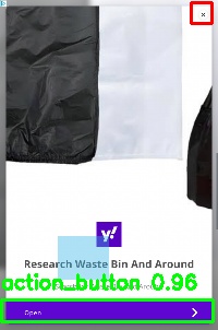 Detected image