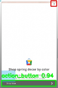 Detected image