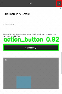 Detected image