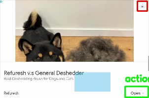 Detected image