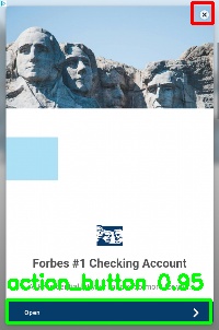 Detected image