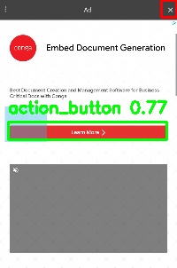 Detected image