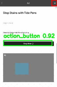 Detected image