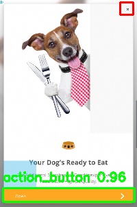 Detected image