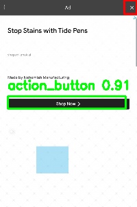 Detected image