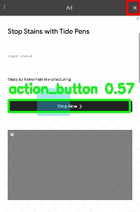 Detected image