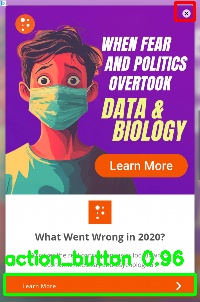 Detected image