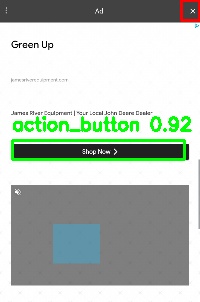 Detected image
