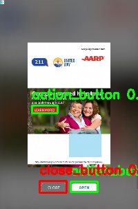Detected image