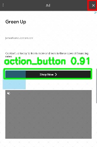 Detected image