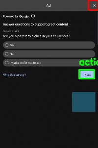 Detected image