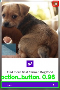 Detected image