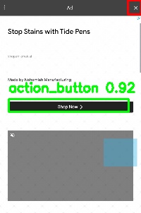 Detected image