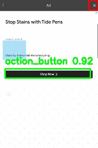 Detected image