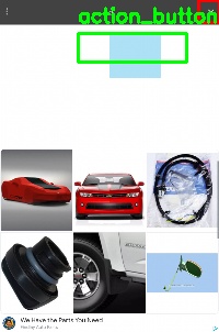 Detected image